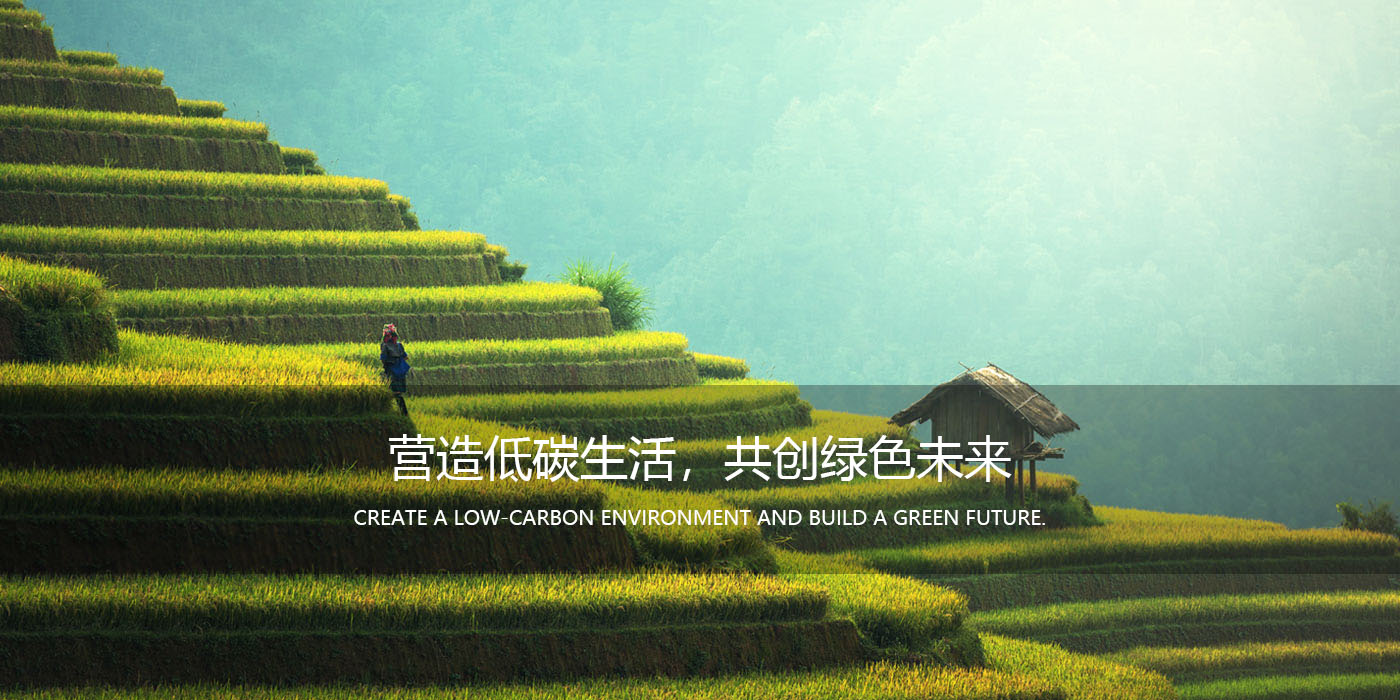 营造低碳生活，共创绿色未来